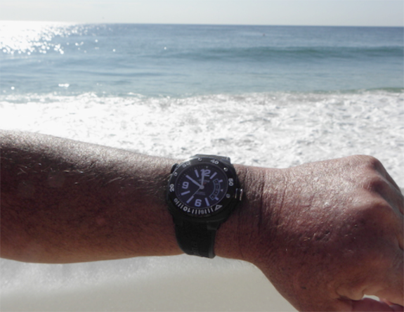 Are You Sure the Watch on Your Wrist Is Ready to Take the Plunge?