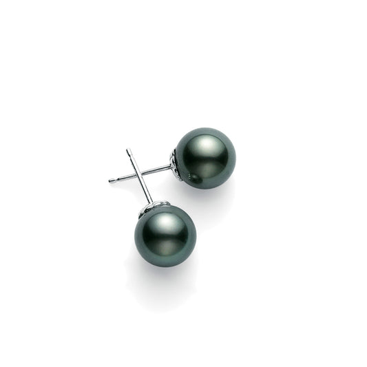 Black South Sea Pearl Earrings