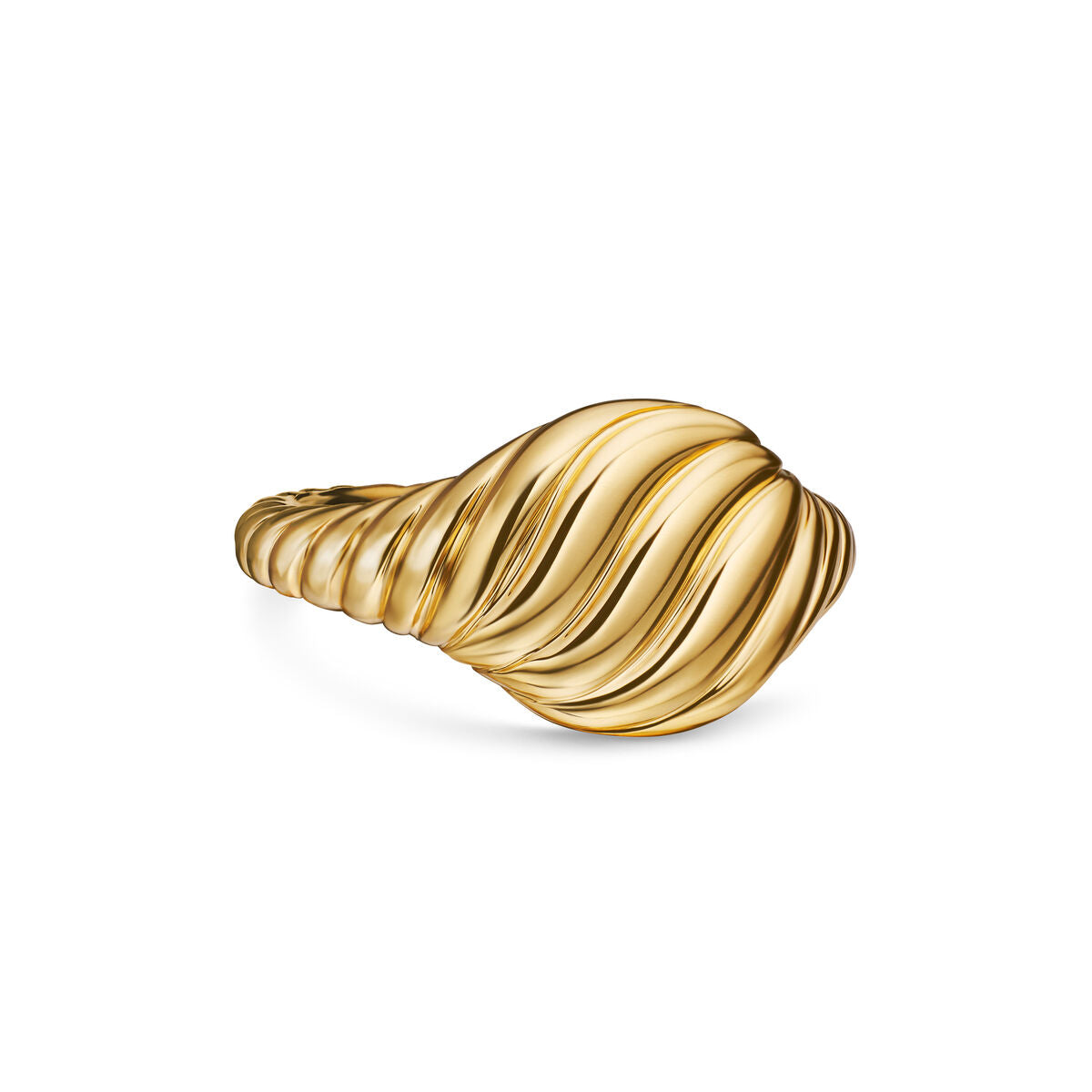 Sculpted Cable Pinky Ring in 18K Yellow Gold, 9.7mm