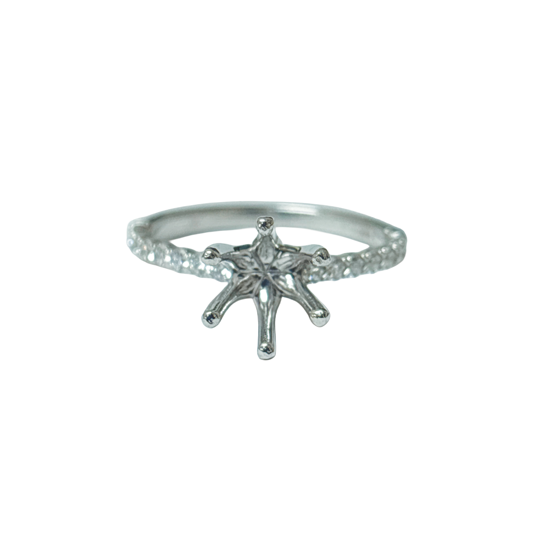 White Gold and Platinum Ring with Round Diamond Mounting