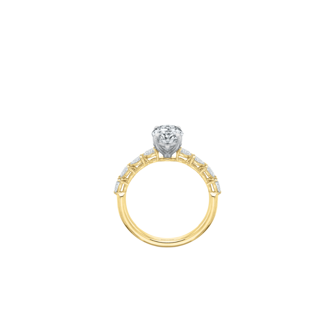 Round Prong-Set Engagement Ring with Diamond Shank