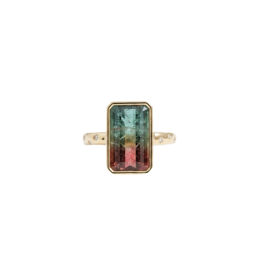 Quinn Watermelon Tourmaline Ring
